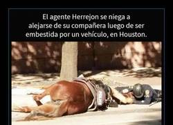 Enlace a Charlotte será despedida como merece