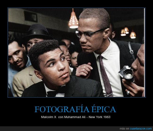 1963,boxeador,Malcolm X,Muhammad Ali,New York