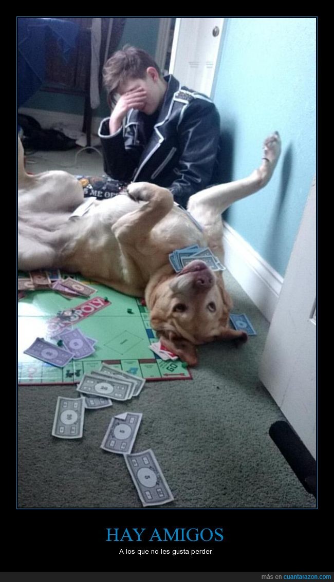 can,desmontar,encima,jugar,Monopoly,perro,tirar