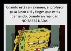 Enlace a Va, pon cara de que eres listo y estás pensando...