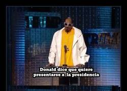 Enlace a SNOOP DOGG