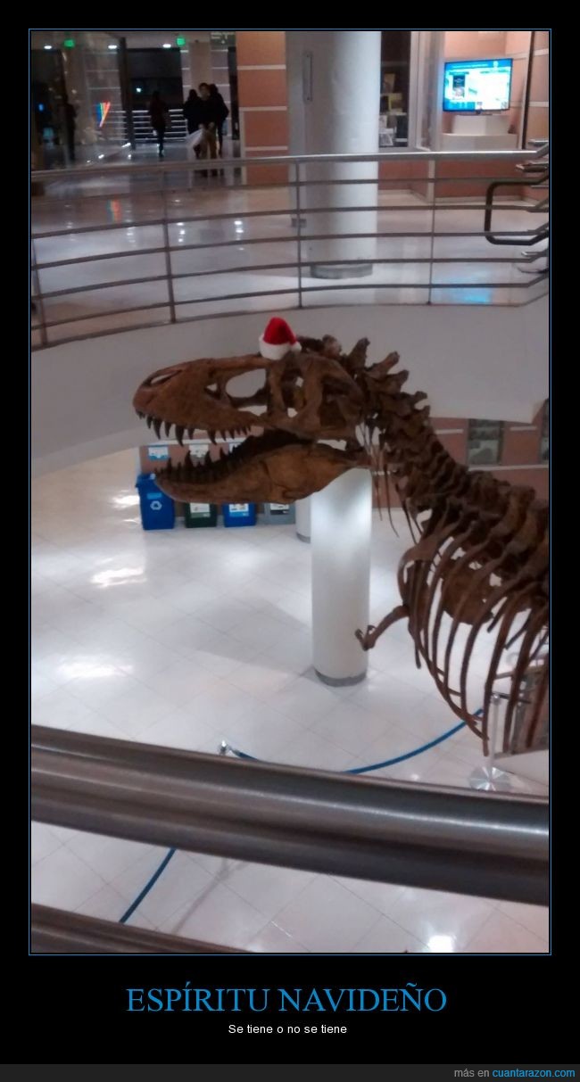 tiranosaurio,Rex,huesos,navidad,t-rex,trex,t rex,gorro,gorrito,papa noel