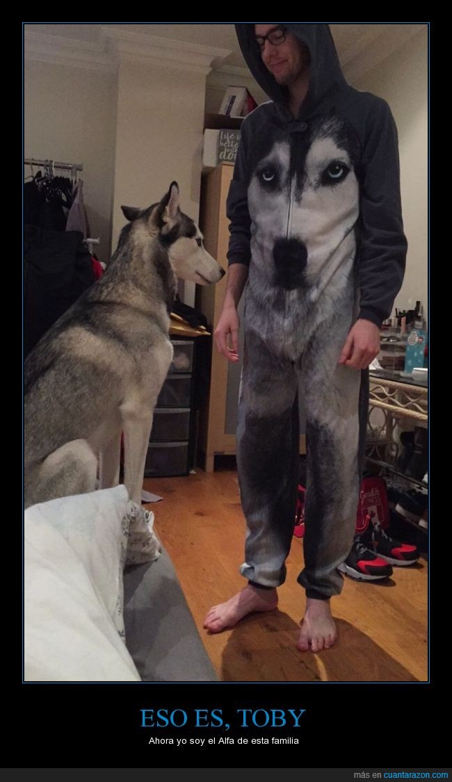 perro,humano,dueño,amo,onesie,husky,pijama