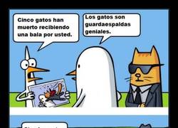 Enlace a El mejor cuerpo de seguridad que paga el dinero