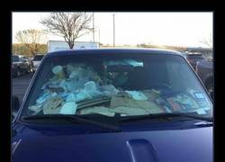 Enlace a SÍNDROME DE DIÓGENES