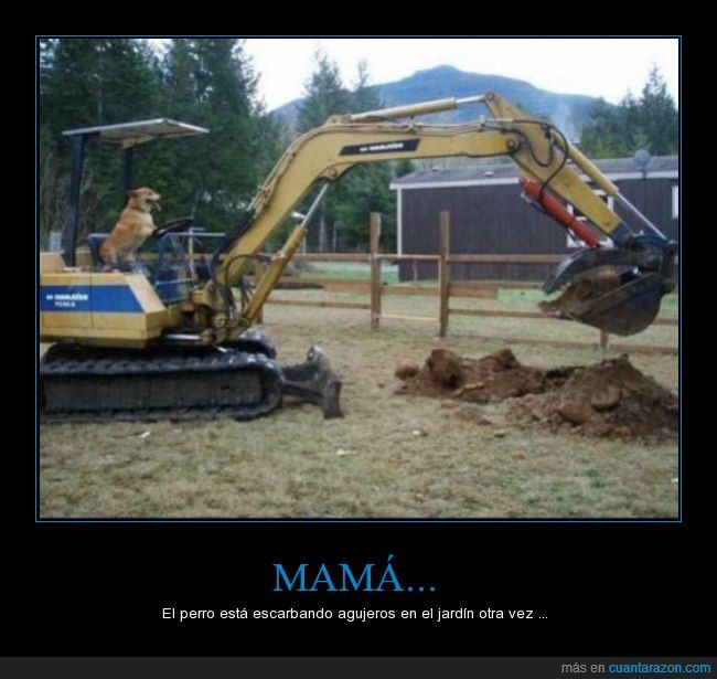 agujero,cavar,escarbar,excavadora,jardín,madre,mamá,maquina,perro