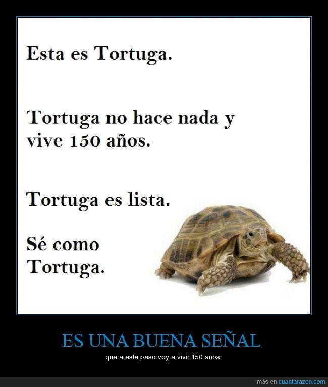 tortuga,josé,lista,vivir,150 años,longevo,señal,no hacer ni el huevo