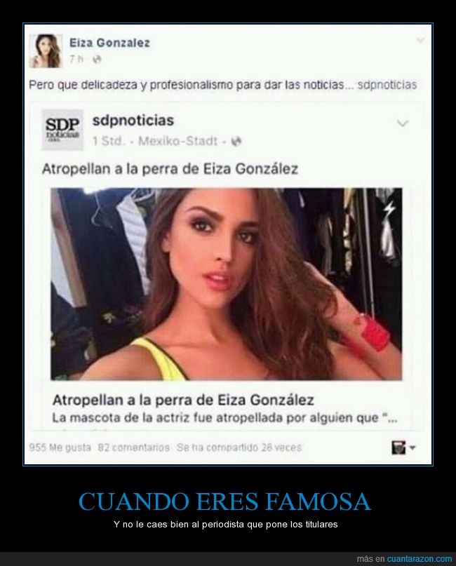 delicadeza,Eiza Gonzalez,famosa,insultar,periodista,perra,profesionalismo
