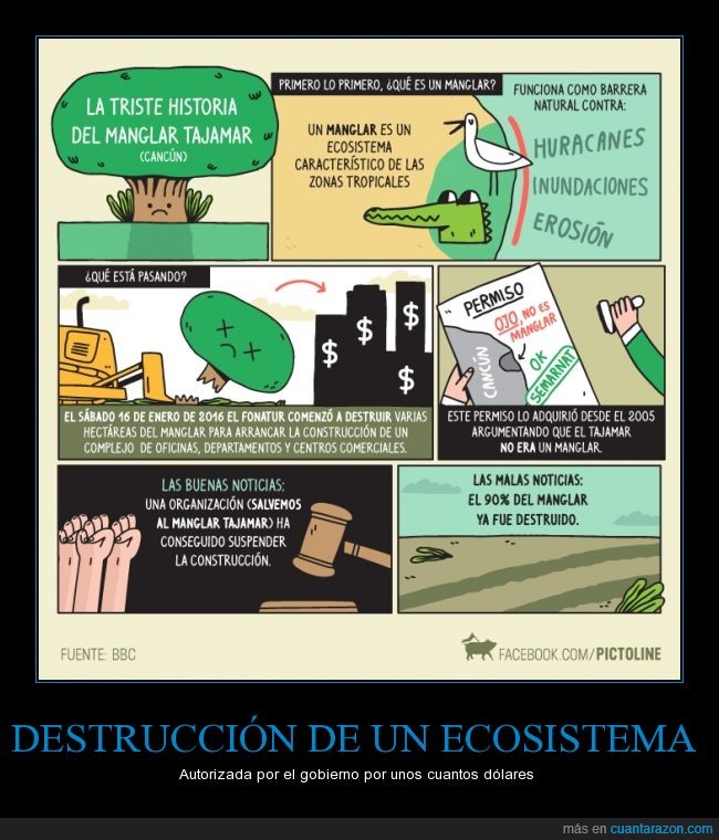 manglar,gobierno,Cancún,México,Tajamar,ecosistema,daño ecológico,cocodrilos sepultados vivos