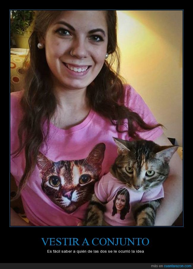 humana,gato,camiseta,foto