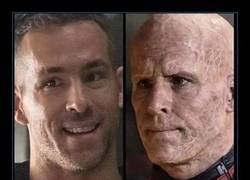 Enlace a Los que llevan Deadpool me caen bien
