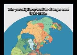 Enlace a ¿Quién sería tu vecino en Pangea?