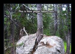 Enlace a ¡Piedra, papel y...! Madre mía, qué potencia...