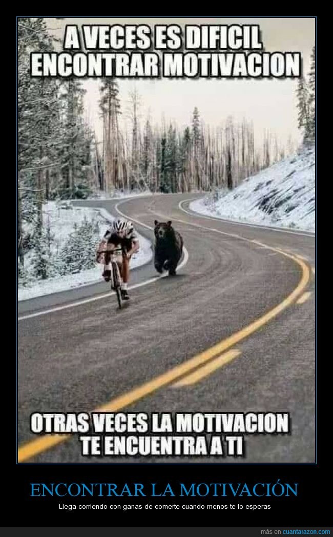 motivación,ciclista,bicicleta,oso,correr,detras,encontrar