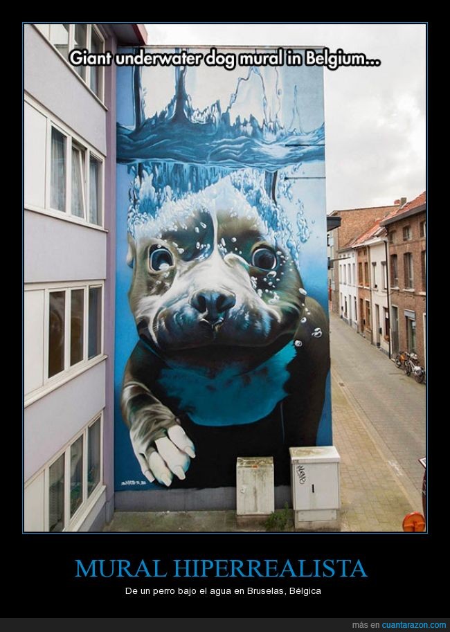 mural,perro,hiperrealista,Bélgica,arte,urbana,Bruselas