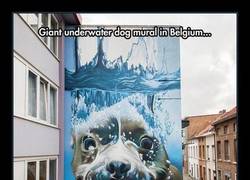 Enlace a Mirad qué perrete más bonico *____*