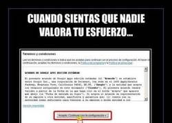 Enlace a A lo mejor son unos excelentes escritores