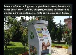 Enlace a Calles más limpias, animalicos más felices :3