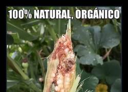 Enlace a Esta mazorca da más grima que el bigote de tu prima... 100% natural