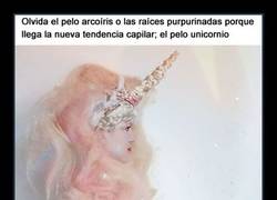 Enlace a ¿Quieres ver qué es eso del pelo unicornio con algunos ejemplos muy... ''curiosos?