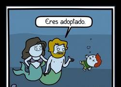 Enlace a Tendría que haberlo sospechado, es pelirrojo...