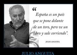 Enlace a JULIO ANGUITA