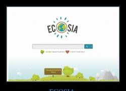 Enlace a ¿Qué es Ecosia? ¡Un eco-buscador!