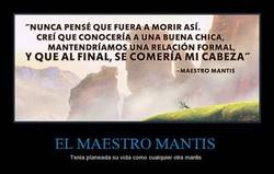 Enlace a El ciclo vital ideal de cualquier mantis