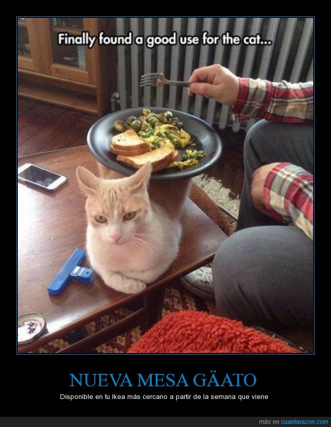 mesa,gato,uso,comida,plato,quiero,molestar,Ikea