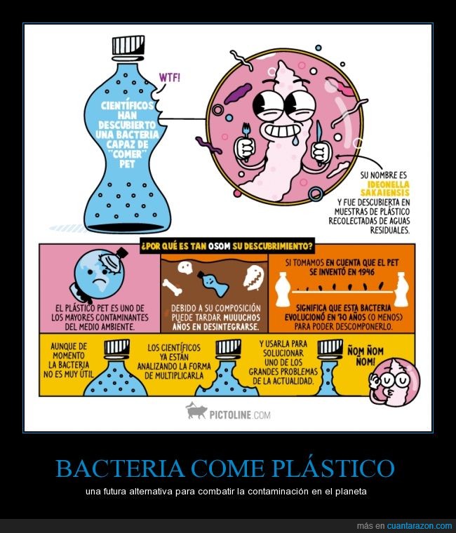 Plástico,bacterias,Ideonella Sakaiensis,PET,degradación lenta