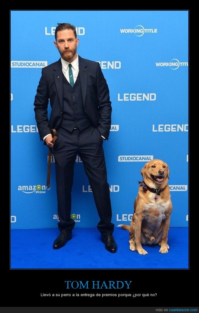 Tom Hardy,perro,entrega de premios,actor