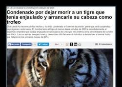 Enlace a ¿Y lo peor? El canalla no ira a prisión y pagará una multa de 540 euros