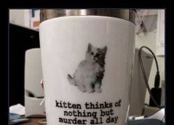 Enlace a Por fin una taza nos lo confirma