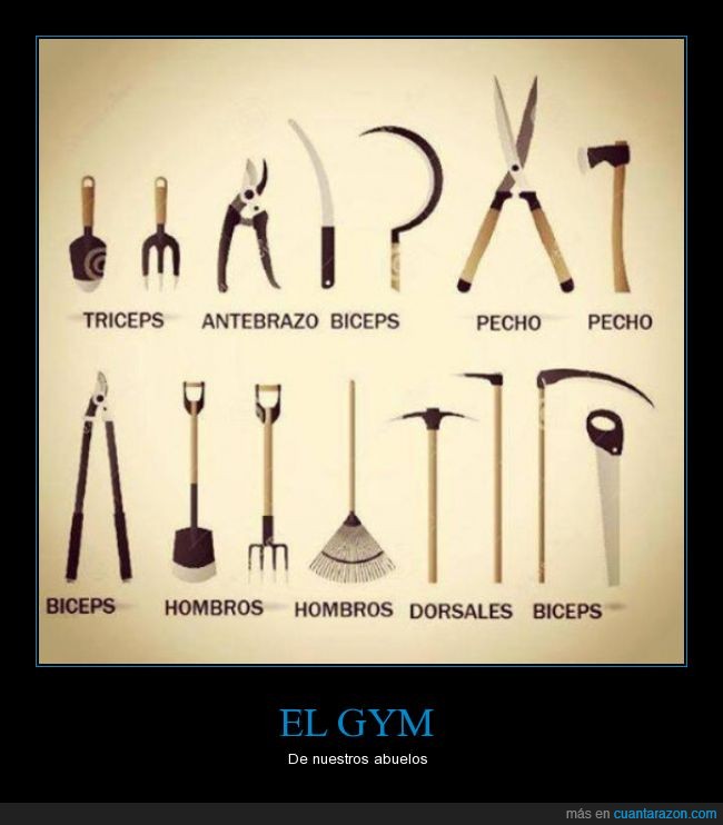 antebrazo,cachas,campo,ejercicio,guadaña,hacha,herramienta,hoz,pectoral,pesas