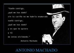 Enlace a Recordemos estos bellos versos de Machado...
