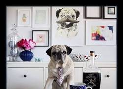 Enlace a Ojalá fuera ni la mitad de elegante que él...