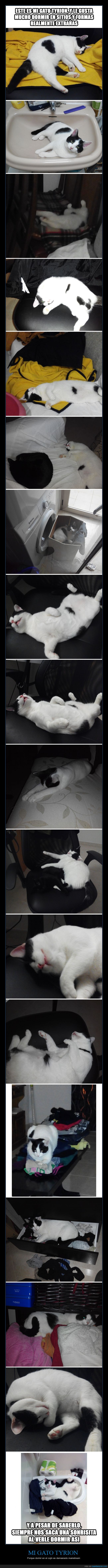 gato,Tyrion,dormir,formas extrañas de dormir
