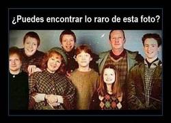Enlace a LA FAMILIA WEASLEY