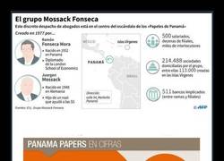 Enlace a PANAMA PAPERS