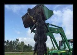 Enlace a Recordadme que jamás vaya a Florida, gracias.