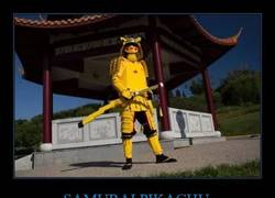 Enlace a Pika, Pikachuuuu ~~