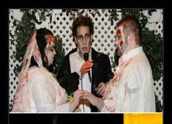Enlace a Bodas extrañas cuanto menos