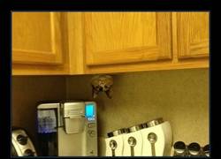 Enlace a ¿Gravedad? Por favor.. para los dioses no existe la gravedad