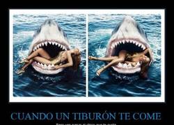 Enlace a Porque una cosa no está reñida con la otra. Por si me salvo...