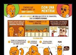 Enlace a Con lo ricas que están las mini zanahorias....