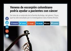 Enlace a ¿Curar el cáncer con veneno de escorpión es posible?