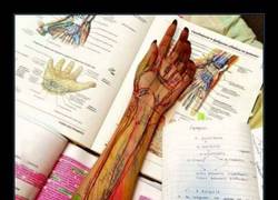 Enlace a ¿Vosotros qué hacéis cuando os aburrís de estudiar?