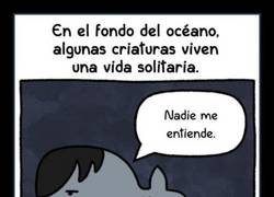 Enlace a Por eso el mar está salado, de sus lágrimas...