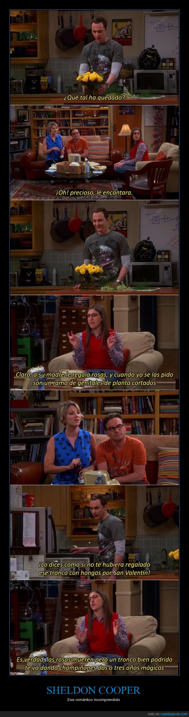Sheldon Cooper,tbbt,big bang,capítulo 8x23,ramo de rosas,champiñones,tronco podrido,romanticismo,Amy Farrah Fowler