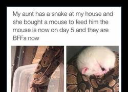 Enlace a We found looooove in a hopeless plaaaaaaace...